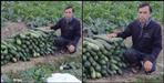 Dalvir a farmer from Uttarkashi made a fabulous income from farming