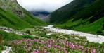 Five most beautiful place in uttarakhand