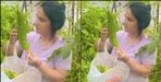 Laxmi Mehta Self-Employment Model Empowers 50 Women in Pithoragarh