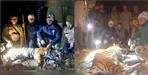 Tiger tranquilized in Bhimtal