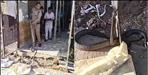 cobra snake entered in house and bite kids in doiwala dehradun