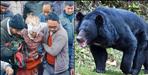 65-year-old woman attacked by bear in Uttarkashi