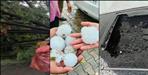 Uttarakhand Rain and Hailstorm Damage Vehicles Tree Falls