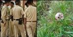 Skeleton of Harish Joshi of Bageshwar found in Haldwani