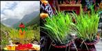Harela Holiday in Uttarakhand on 17 July