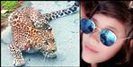 Leopard attack 16 year girl in bailparao nainital
