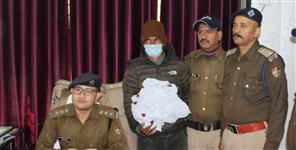 image: Smuggler arrested with 5 kg hashish worth Rs 10 lakh
