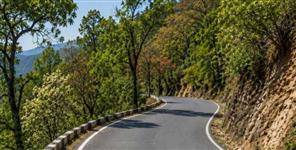Pauri Bukhal Circuit House road widening thousands trees environment