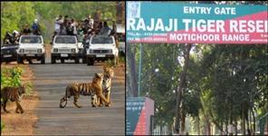 Rajaji Tiger Reserve Plans Full-Day Safari in Uttarakhand