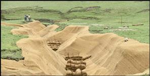 image: Uttarkashi forest dept Started restoring famous dayara bugyal