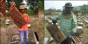image: Uttarakhand Champawat youth earning money from honey production