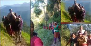 Women Carry Sick Man 4 Km Due to No Road in Gairsain