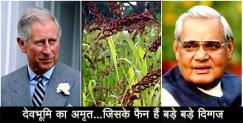 image: Benefits of jhangora