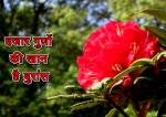 image: Buranse the medicine of uttarakhand 