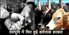 image: 4 arrested in cow meat smuggling