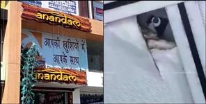 image: Woman Obscene Video Made In Restaurant Washroom By Hidden Camera