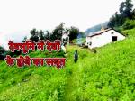 image: Fulya narayan tample of uttarakhand 