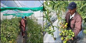 image: Story of Virendra Singh Negi farmer of Pauri Garhwal