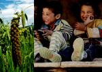 image: Jhangora the perfect blend of nutrition-0517 