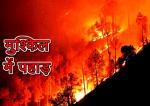 image: Forest of gangotri caught fire
