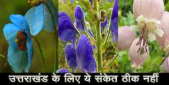 image: Rare 16 flora on the verge of extinction in Uttarakhand