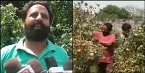 image: Uttarakhand farmer vikki kesar farming