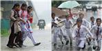Holiday declared in Districts due to heavy rain