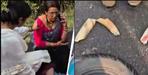 Rare Human-Elephant Collision Reported on Khatima-Tanakpur Highway