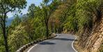 Pauri Bukhal Circuit House road widening thousands trees environment