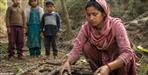 Ramnagar Forest Corporation Employee Death 2 Wives Govt Job Dispute