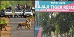 Rajaji Tiger Reserve Plans Full-Day Safari in Uttarakhand