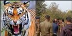 Villagers angry after death of woman in tiger attack