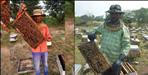 Uttarakhand Champawat youth earning money from honey production