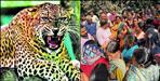 Woman Killed in Leopard Attack in Uttarakhand