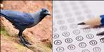 SSJU B Ed-M Ed Answer Key Error Sparks Controversy in Uttarakhand