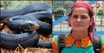 Woman Dies of Snake Bite in Uttarkashi