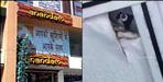 Woman Obscene Video Made In Restaurant Washroom By Hidden Camera