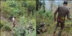 Tractor trolley falls into a deep ditch two youths die