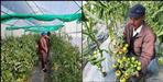 Story of Virendra Singh Negi farmer of Pauri Garhwal