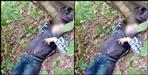 Property dealer Naval Bisht body found in Haldwani forest