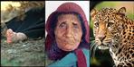 Leopard attacked women in   Bageshwar Ason village